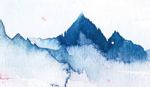 办公室放什么植物好 多多益善容易成活