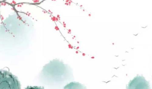 办公室适合摆什么花 寓意好的最佳