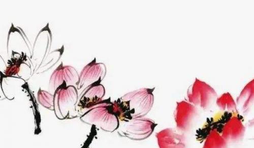 办公室摆放什么植物最招财 保护健康改变性格