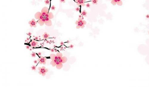 男领导办公桌盆栽植物 选择吉祥聚财植物