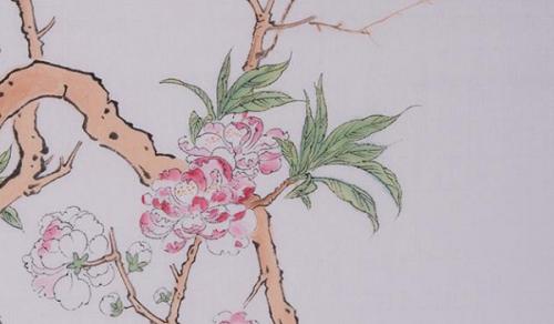 办公室摆放什么植物 合适植物健康快乐