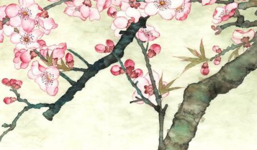 办公桌上摆什么绿植比较好 看个人需要摆放