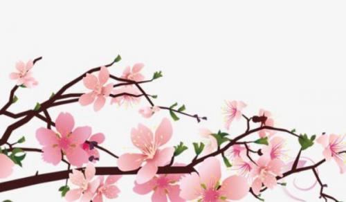 女人办公桌摆什么招财 升官发财安居乐业