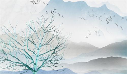 客厅风水植物什么最好 财富吉祥锦上添花