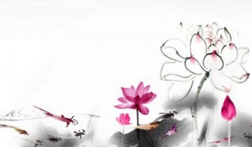 适合放办公室的盆栽植物 合理栽培盆栽植物