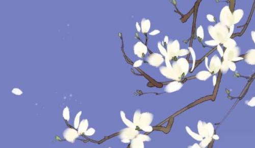 客厅的财位放什么合适 财位适宜摆放物件