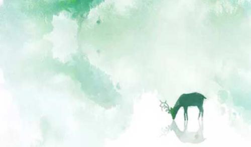 办公桌朝向的最佳方位 采用因地制宜原则