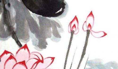 办公室摆什么花有利于自己 富贵之花海棠花