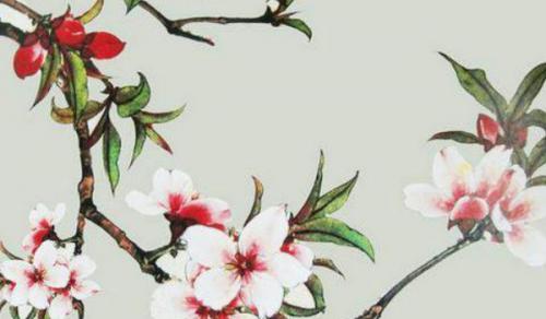 适合放在办公室的盆景 选择风水寓意好的