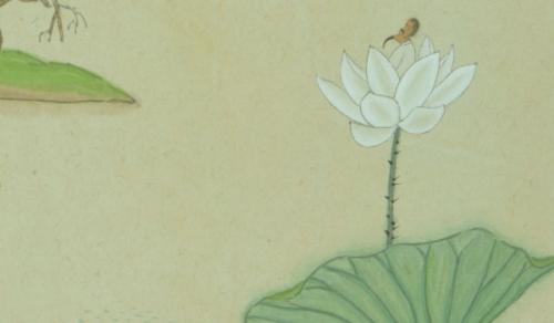 家中财位摆放禁忌 避免压住阴暗或者什么都不放