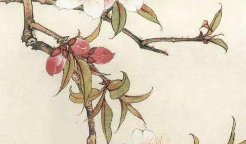 办公室绿植有哪些 发财树文字都是吉祥绿植