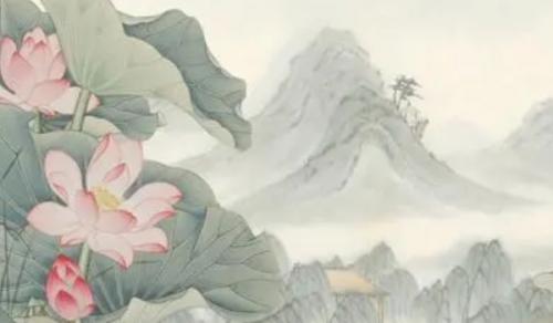 财位摆放哪些植物旺财 招财进宝生机茂盛