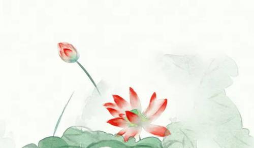 七杀太旺的女命性格 外向大胆反应能力强