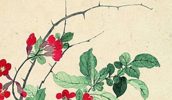 2025年农历正月二十八安门好不好 是最好的安大门日期吗