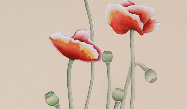 2025年农历正月二十二是安门黄道吉日吗 什么时候宜安门