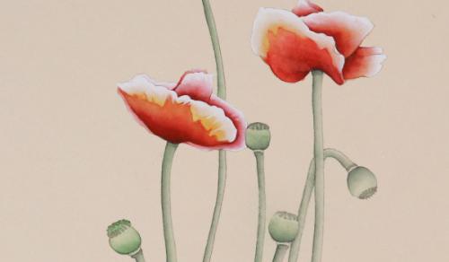 2025年农历正月二十二是安门黄道吉日吗 什么时候宜安门