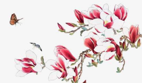 2025年农历二月十三适合安门吗今日老黄历宜忌