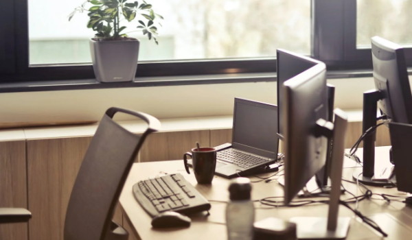 木属性公司名字大全 生机勃勃的企业名字