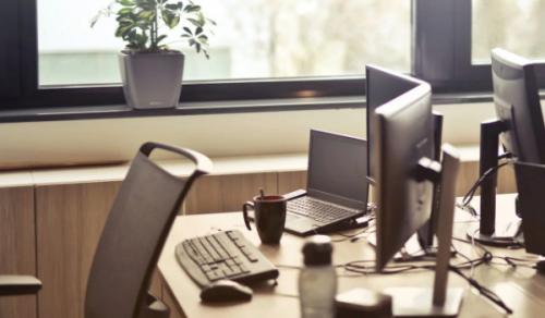 木属性公司名字大全 生机勃勃的企业名字