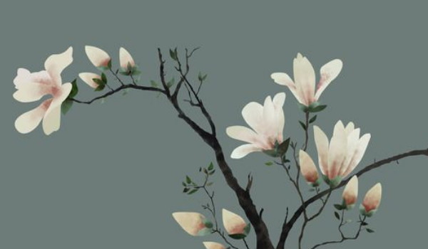 2025年农历三月十五什么时候宜安门 是安装大门的最佳吉日期吗