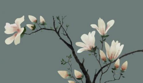 2025年农历三月十五什么时候宜安门 是安装大门的最佳吉日期吗