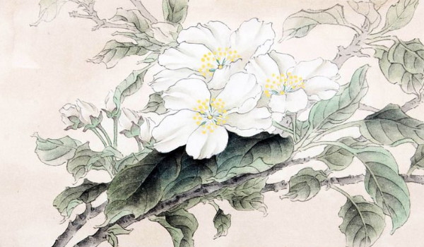 2025年农历三月二十五是安门好日子吗 宜装大门吗